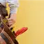 Handyman repair service in Lowell, MA for home fixes and improvements